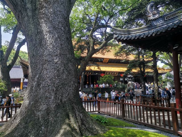 遊普陀山記