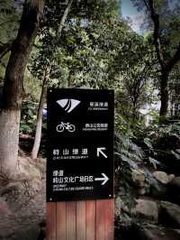 慈溪峙山公園|出太陽啦快出門玩吧~