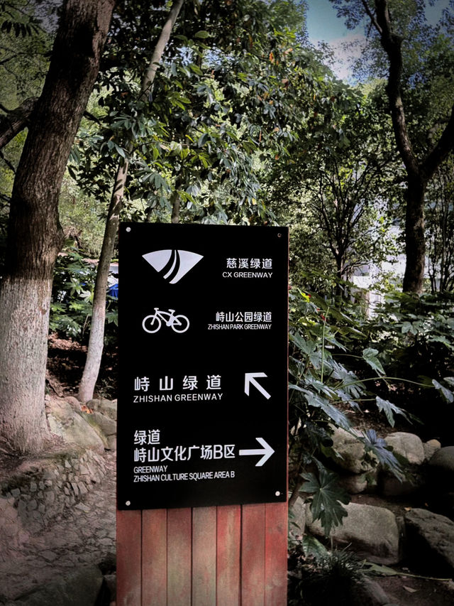 慈溪峙山公園|出太陽啦快出門玩吧~
