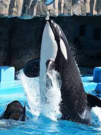 日本水族館大集合！📸