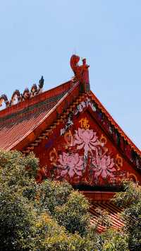 深圳這一寺廟廣結善緣樂善好施，中午管飯（免費）