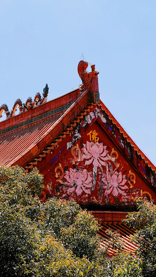 深圳這一寺廟廣結善緣樂善好施，中午管飯（免費）