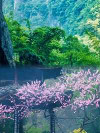酉陽桃花源—真的是紅塵客棧