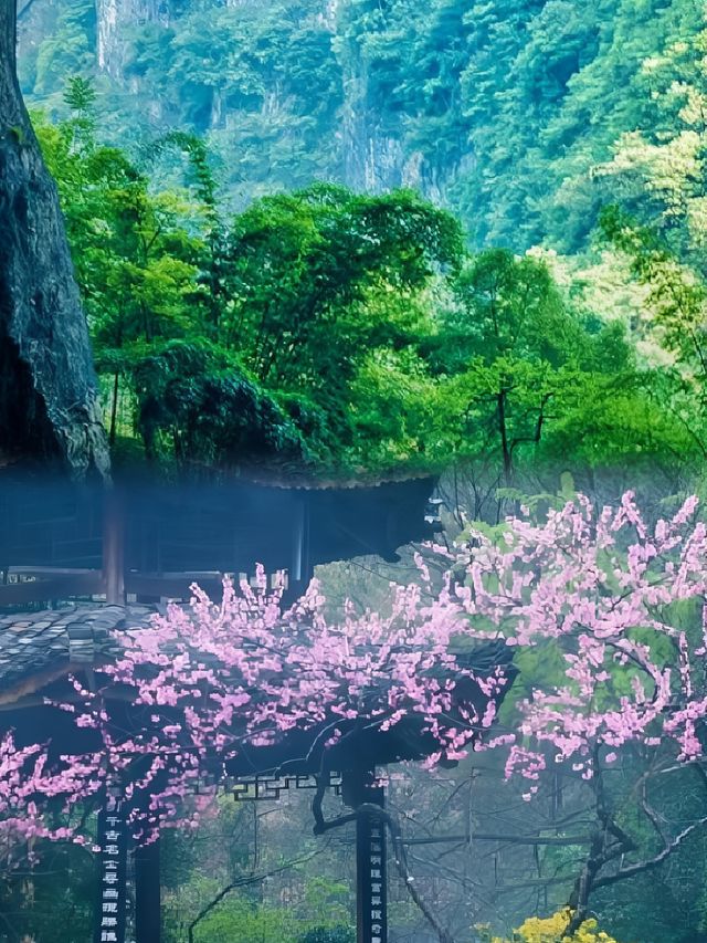 酉陽桃花源—真的是紅塵客棧