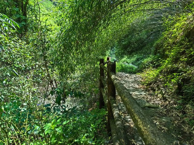 湘西秘境—吉首坪年玻璃翠山泉水