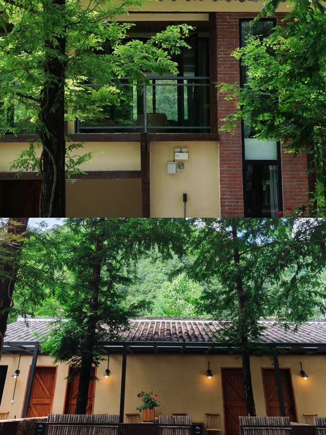 森林植被覆蓋率高，天然的避暑勝地