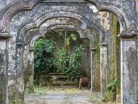 A peek into history, what stories can the walls tell? 