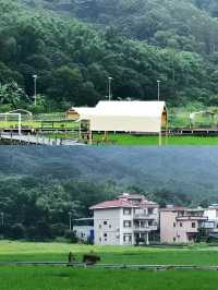廣州珍藏田園風民宿|回歸大自然的寧靜。