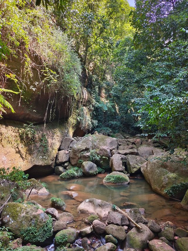 赤水佛光岩景區。