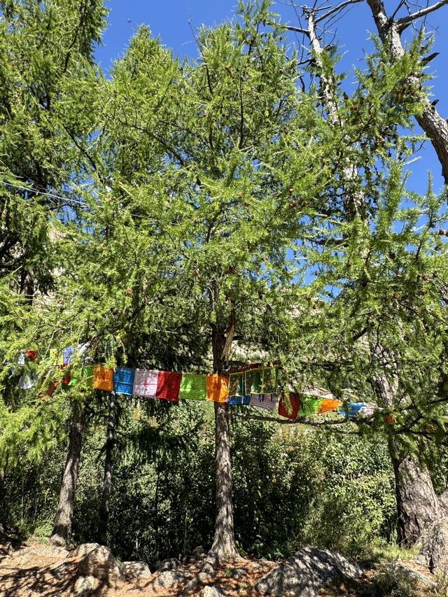 蒙古國烏蘭巴托阿里亞巴拉寺廟。
