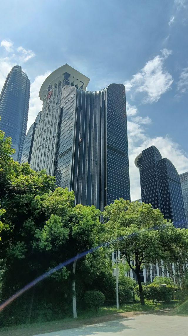 深圳向日葵公園·青綠&清幽。