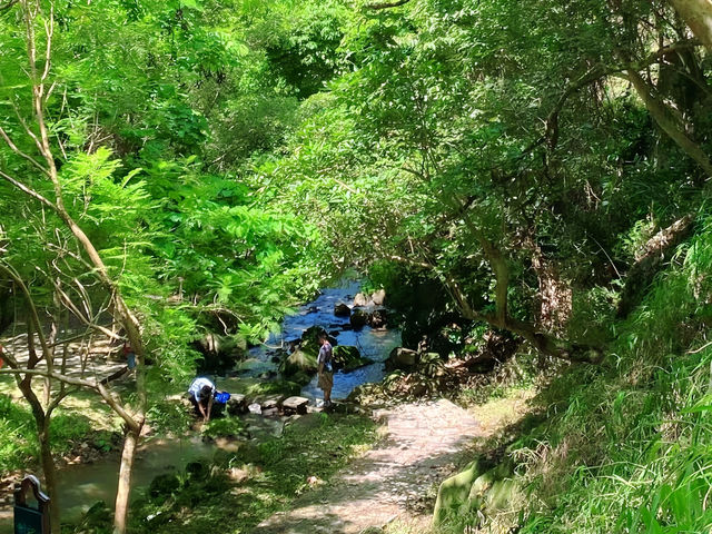 太子坑森林公園，隱藏於都市喧囂之外的綠色寶地