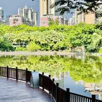 深圳園博園一日遊
