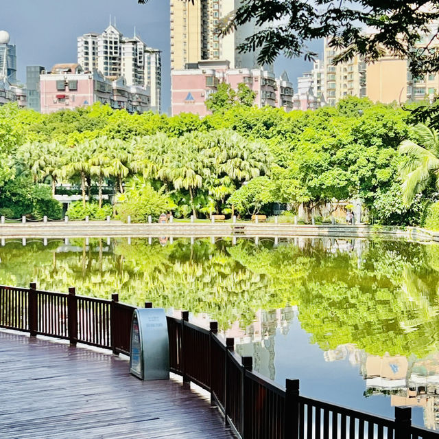 深圳園博園一日遊