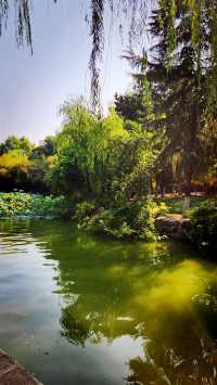 聽講西安豐慶公園錦簇芳菲，打卡過公園"山水綠叢中"才知曉。