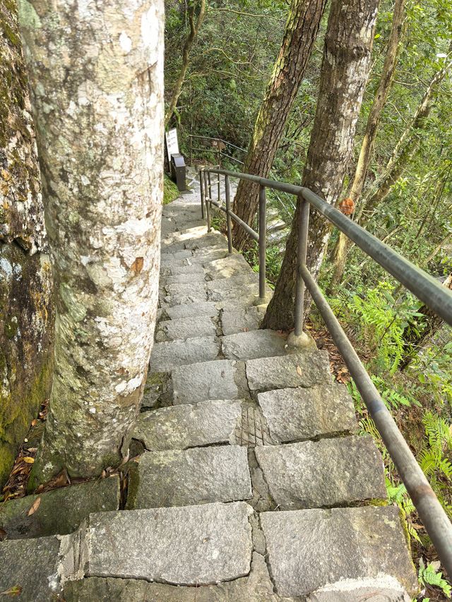 鴛鴦溪國家級風景名勝區位於屏南縣東北部,距離縣城30公里,處於屏南、周寧、政和三縣交界。總面積78.8平方公里。