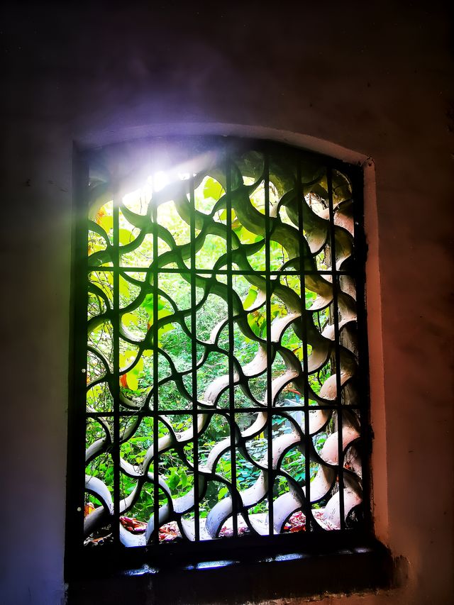 趵突勝境,堪比仙境!。 趵突勝境,堪比仙境!。