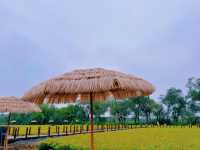 天津西青郊野公園 | 搭帳篷釣螃蟹。