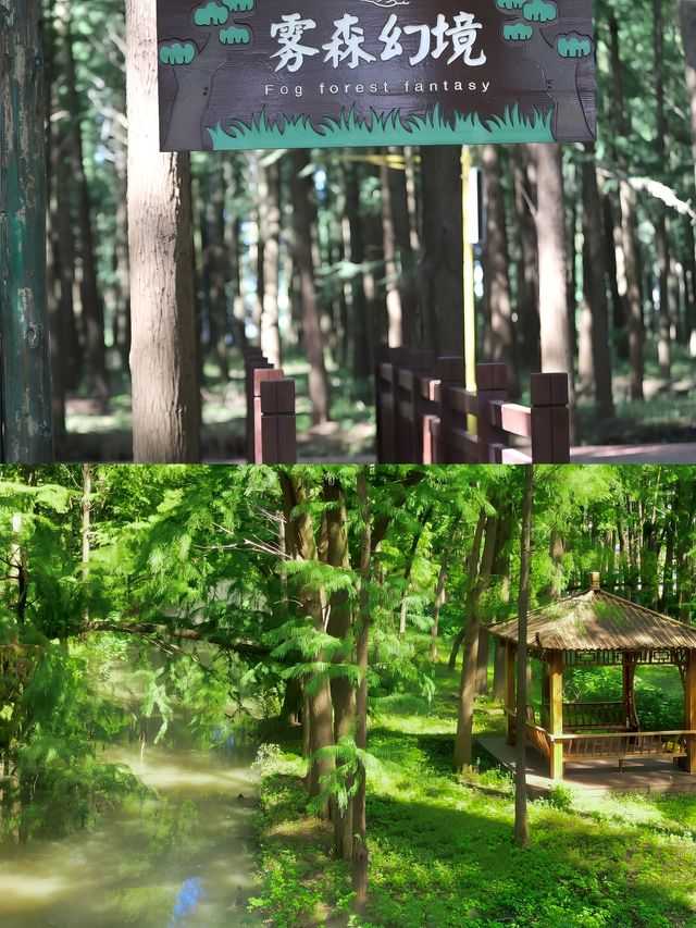 國慶反向遊｜江蘇這個被低估的寶藏旅遊城市。