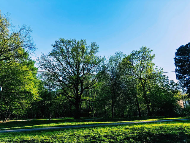 生態索契｜里維埃拉公園深度遊，呼吸黑海邊的清新空氣。