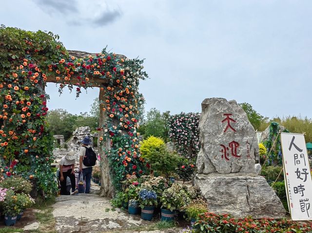 天上王城。
