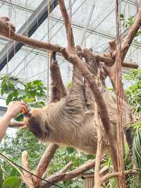 帶孩子來神戶一定要去這家動物王國！附攻略。
