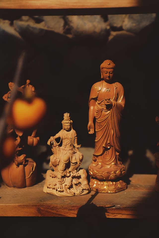 溫州探秘 | 泰順徐岙底古村落的寶藏小院。