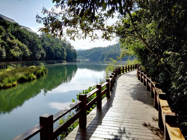 普洱梅子湖 | 人間仙境般的寶藏之地。