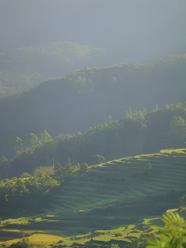 信宜｜廣東人自己的阿勒泰—小眾徒步地雞籠頂！。