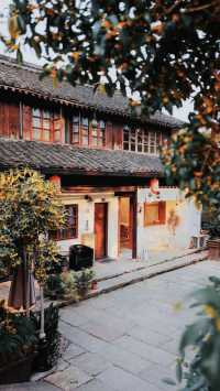 杭州桂博園。