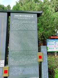 洛陽王城公園 | 邂逅歷史與自然之美。