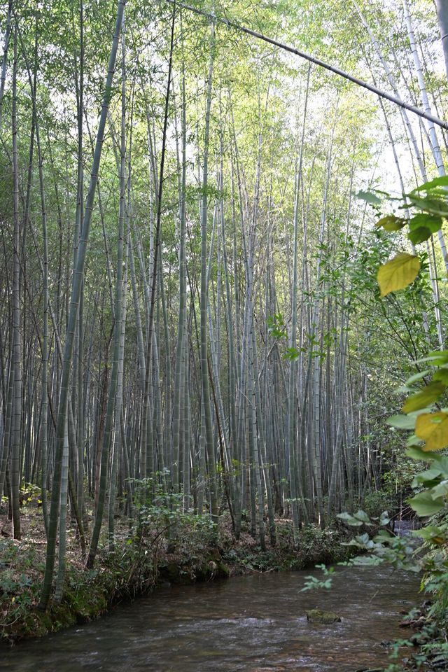 這個宜南山區的小村莊安靜而美好。