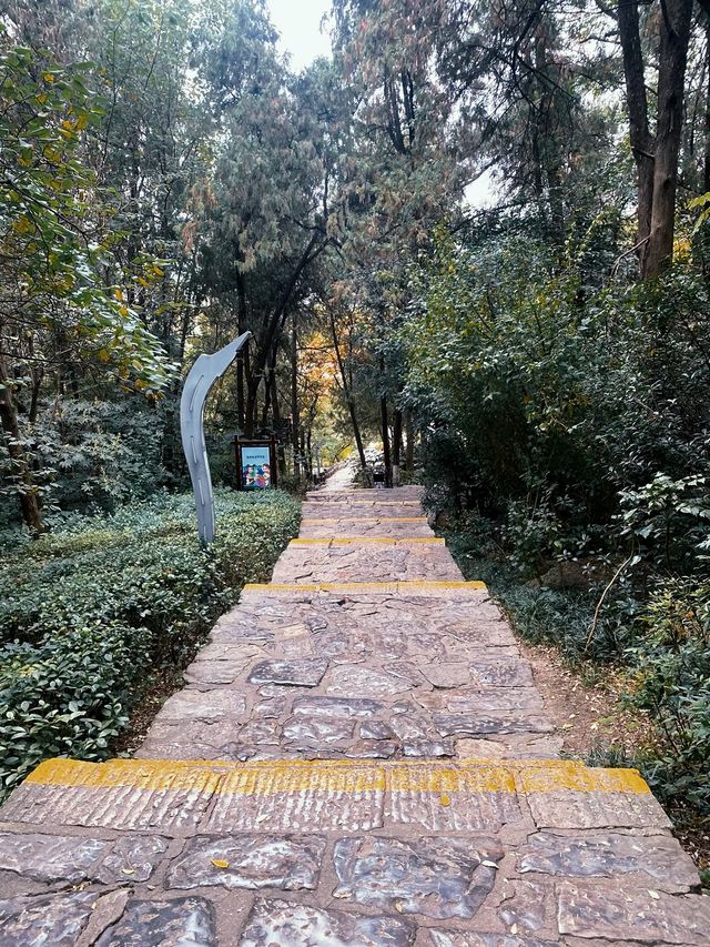 旅行小眾路線推薦徐州，帶你避開寧靜享受人潮。