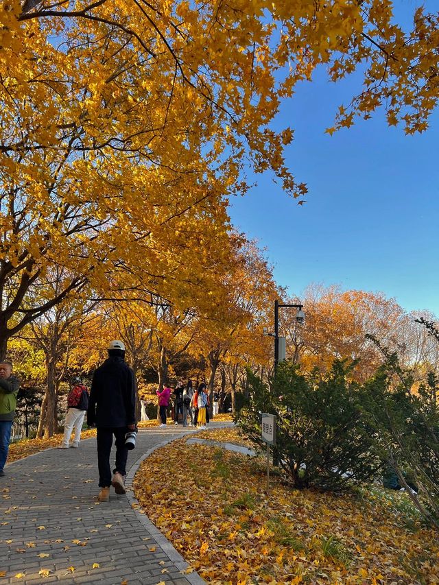 望京的小眾公園在我心裡還是殺出重圍！。