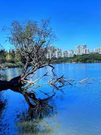 美拉德系的公園，地鐵直達。