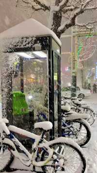 《北海道：夢幻之境的冰雪與浪漫之旅》。