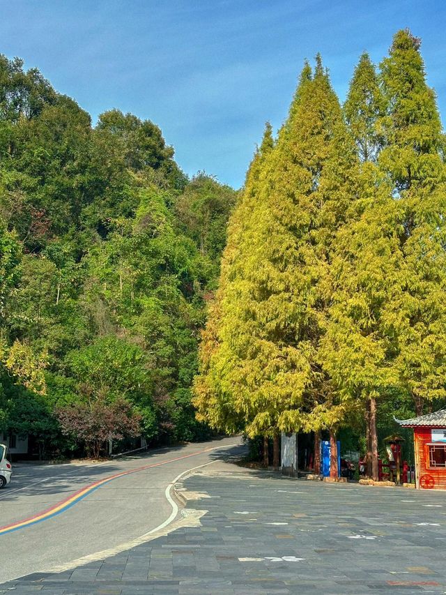 湖南株洲酒仙湖景區。