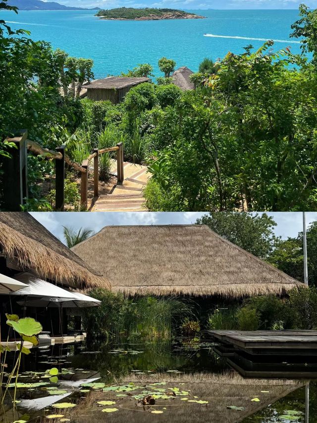 蘇梅島六善酒店。