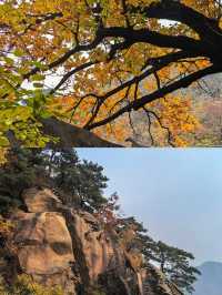 三天兩夜——鞍山之旅，一場奇妙的仙境之旅。