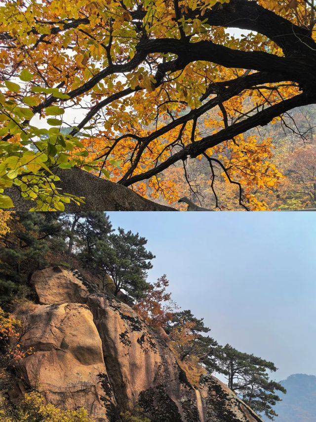 三天兩夜——鞍山之旅，一場奇妙的仙境之旅。