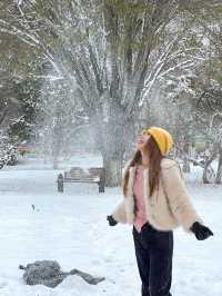 烏魯木齊║雪後的植物園怎麼韓里韓氣的～。