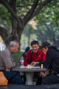 佛山超「植」愈的網紅老社區，盡顯森系花境。