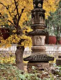 北京·白瀑寺。