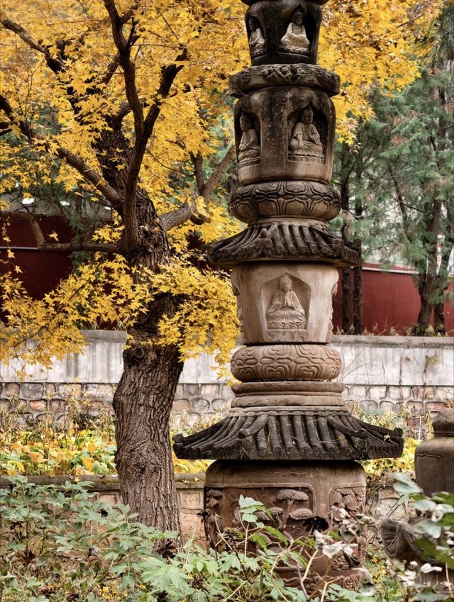 北京·白瀑寺。