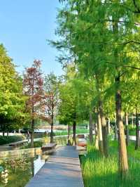 深圳桂灣公園｜人少巨舒服，宮崎駿漫畫公園花又開了！