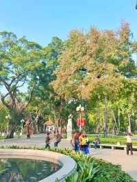 廣州人民公園楓葉手機直拍！真的已經紅了