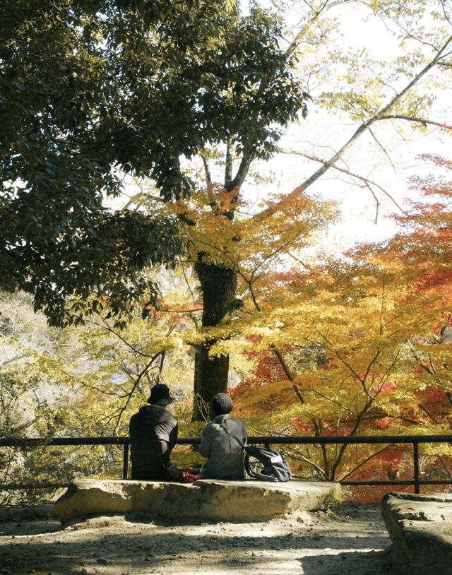 石山寺｜何必去京都看紅葉擠破頭