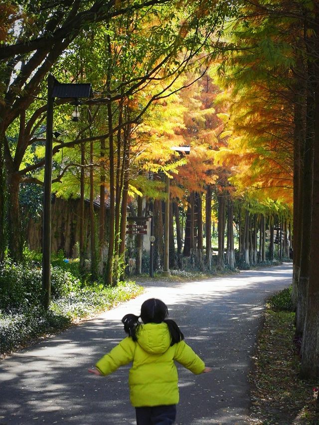 烏村2天1夜親子遊，樂土上的童趣時光！