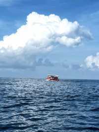Magical Experience of Whale Watching in Mirissa