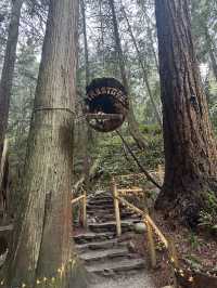 Experience the Thrill of Capilano Suspension Bridge Park